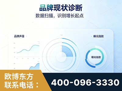 二连浩特-品牌现状诊断