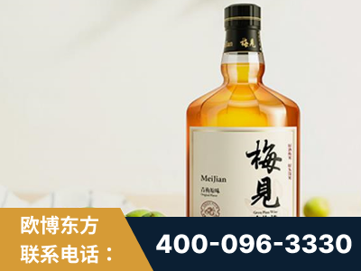 二连浩特-梅见青梅酒